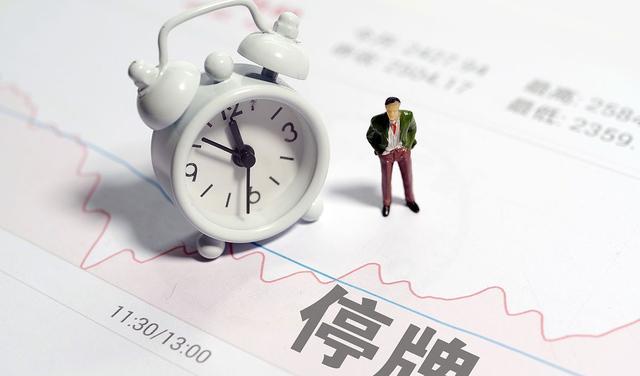 股票停牌详解,秘密与家的温暖之间的探索