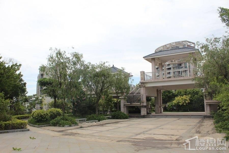 华浩国际城最新房价探讨与分析