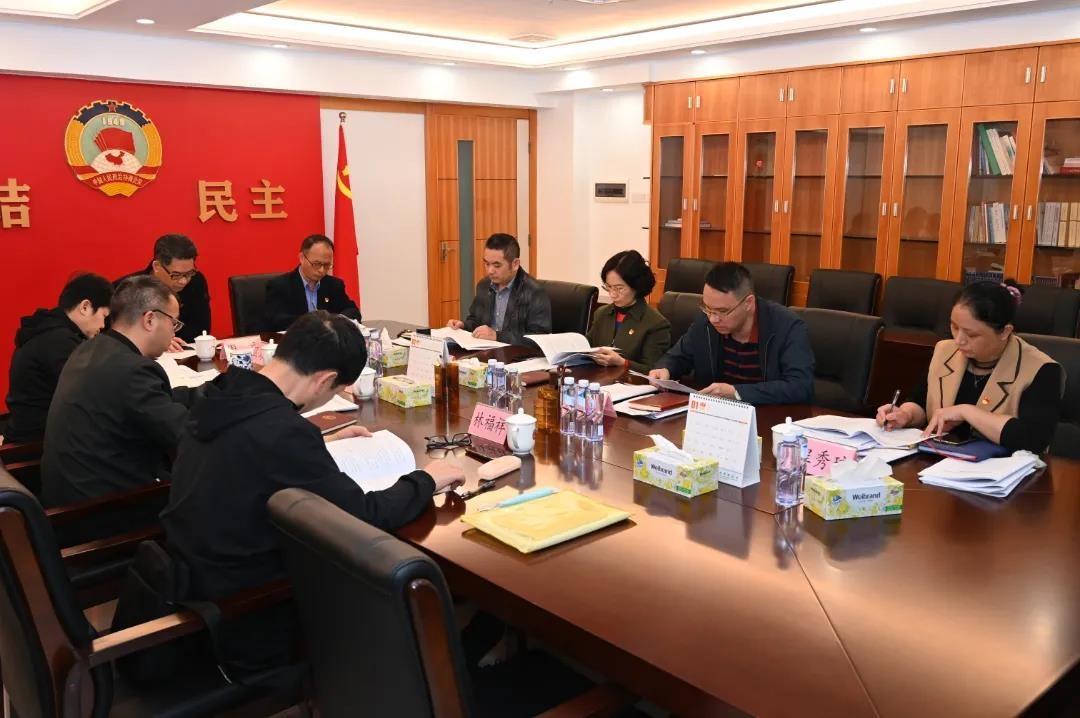 新会最新动态,多维度视角下的城市发展探析