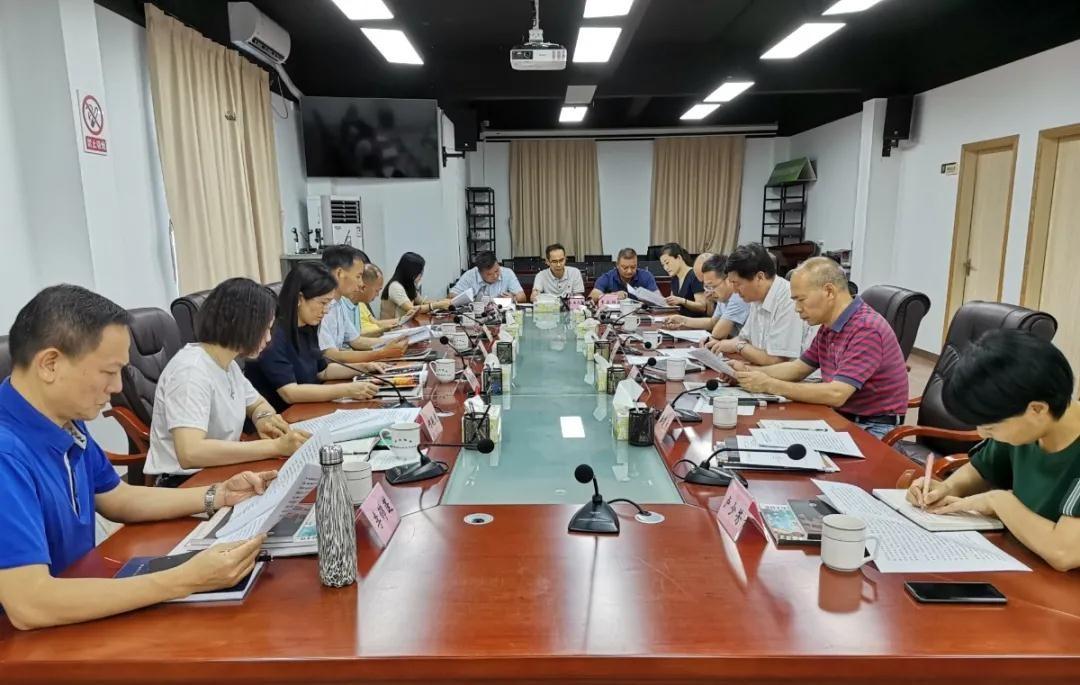 新会最新动态,多维度视角下的城市发展探析