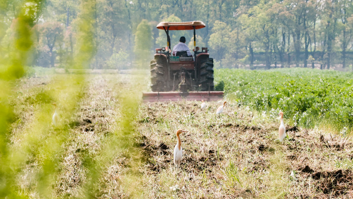 上海农乐上市,探索自然美景的治愈之旅