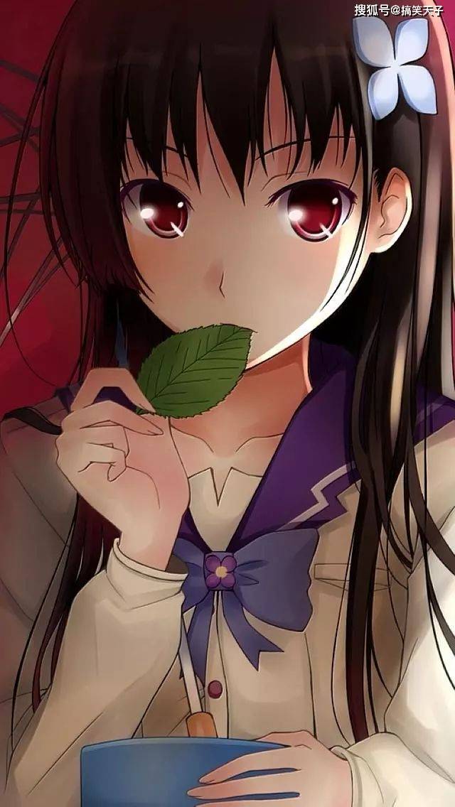 温馨日常之友动漫,像缘之空一样传递爱与陪伴的美好信息