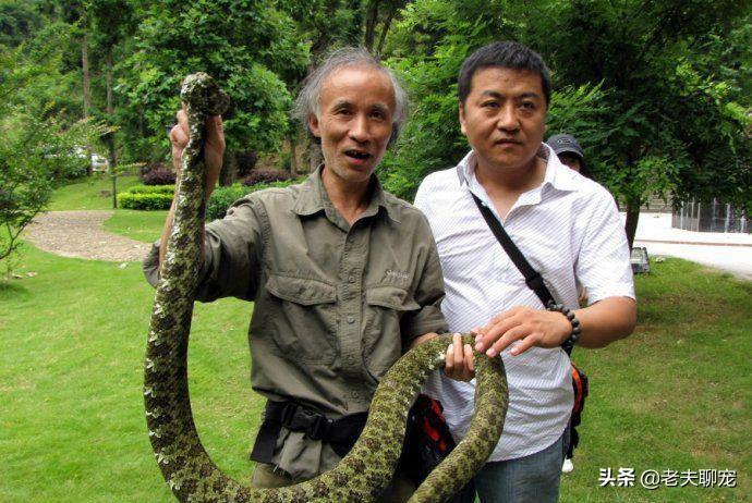属蛇男明星的日常生活揭秘