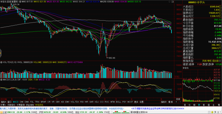 康缘股票,小巷深处的股市瑰宝,独特风味令人瞩目