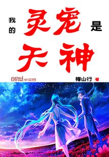 天神决最新篇章揭秘,小巷中的神秘特色小店探秘