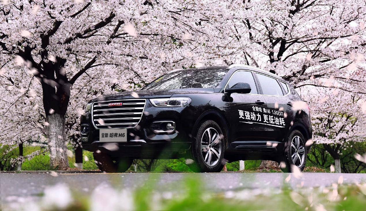 哈弗H6最新动态,日常故事中的温馨与革新