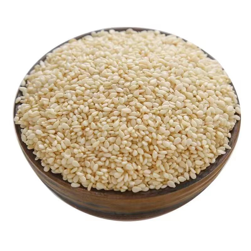 进口芝麻最新价格行情动态及分析