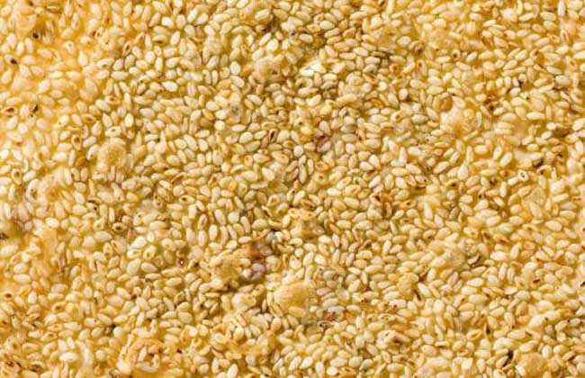 进口芝麻最新价格行情动态及分析