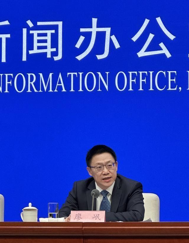 最新财税政策深度解析,影响及观点阐述