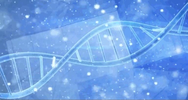 总裁小说精选,商业风云与情感纠葛的时尚精英故事