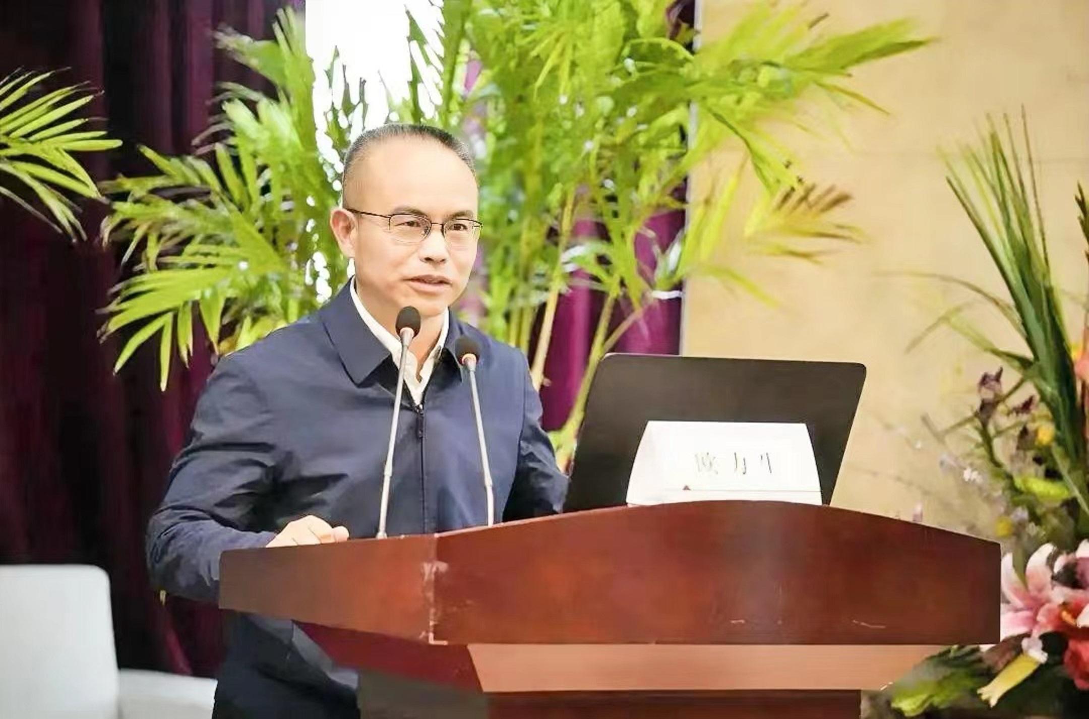 猫歌剧演员,舞台上的璀璨星辰闪耀之旅✨