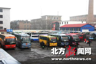 威海班车司机最新招聘信息发布