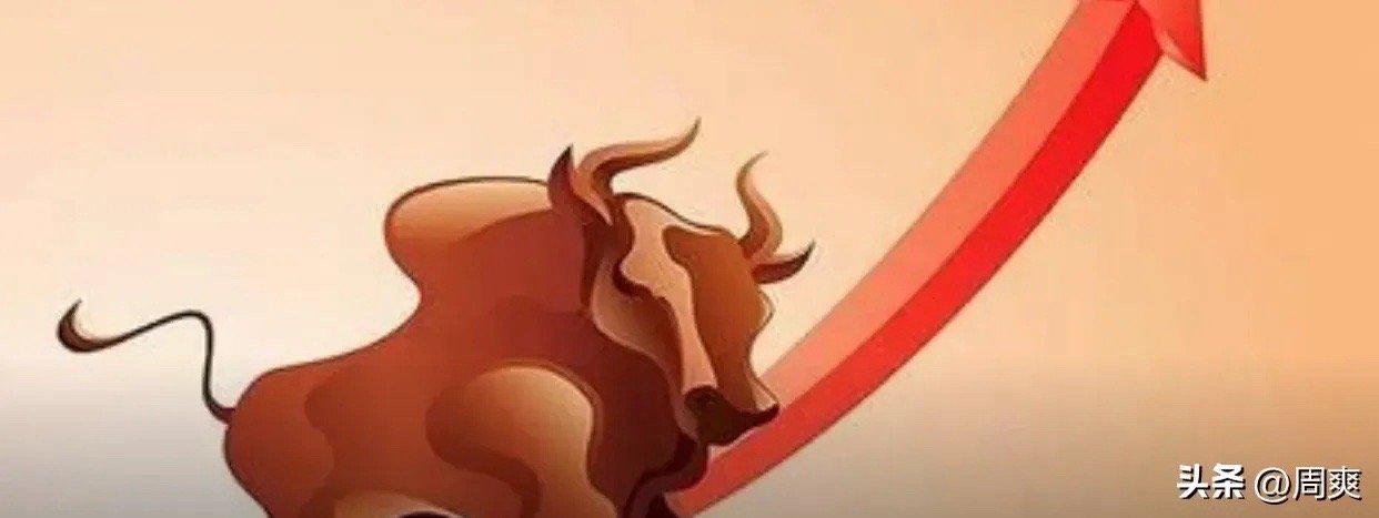 神马股票,一段温馨的股市探索之旅