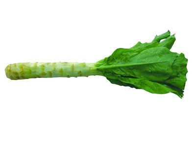 莴苣最新价格行情,小巷深处的绿色宝藏揭秘