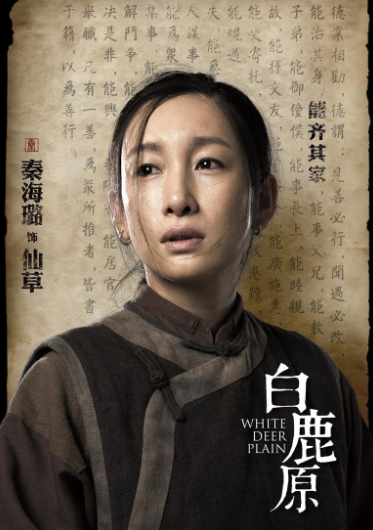 秦海璐最新电视剧,展现学习变化与自信成就的力量