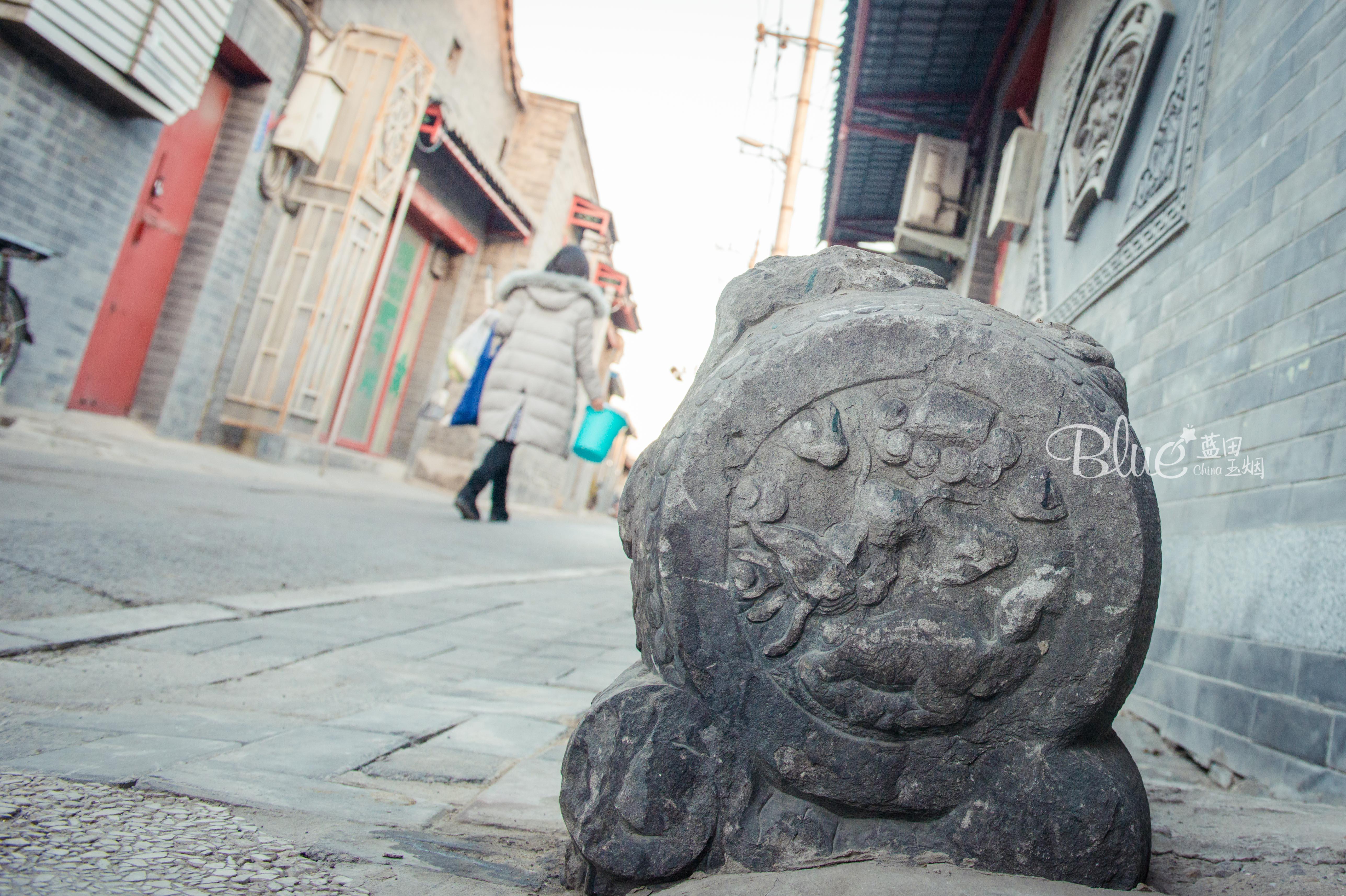 最新欧美爱情电影,时代情感印记的绽放