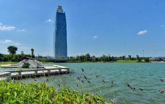 嘉兴港区时代脉搏下的蓬勃发展最新消息