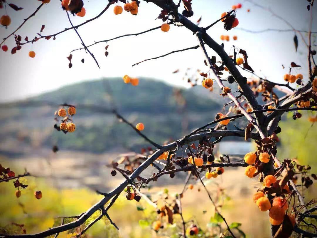 招远最新招聘信息,学习变化,把握机遇,成就未来之路