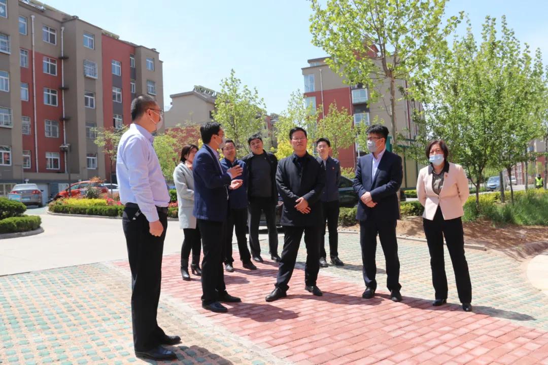 最新档案法下的独特小巷时光揭秘