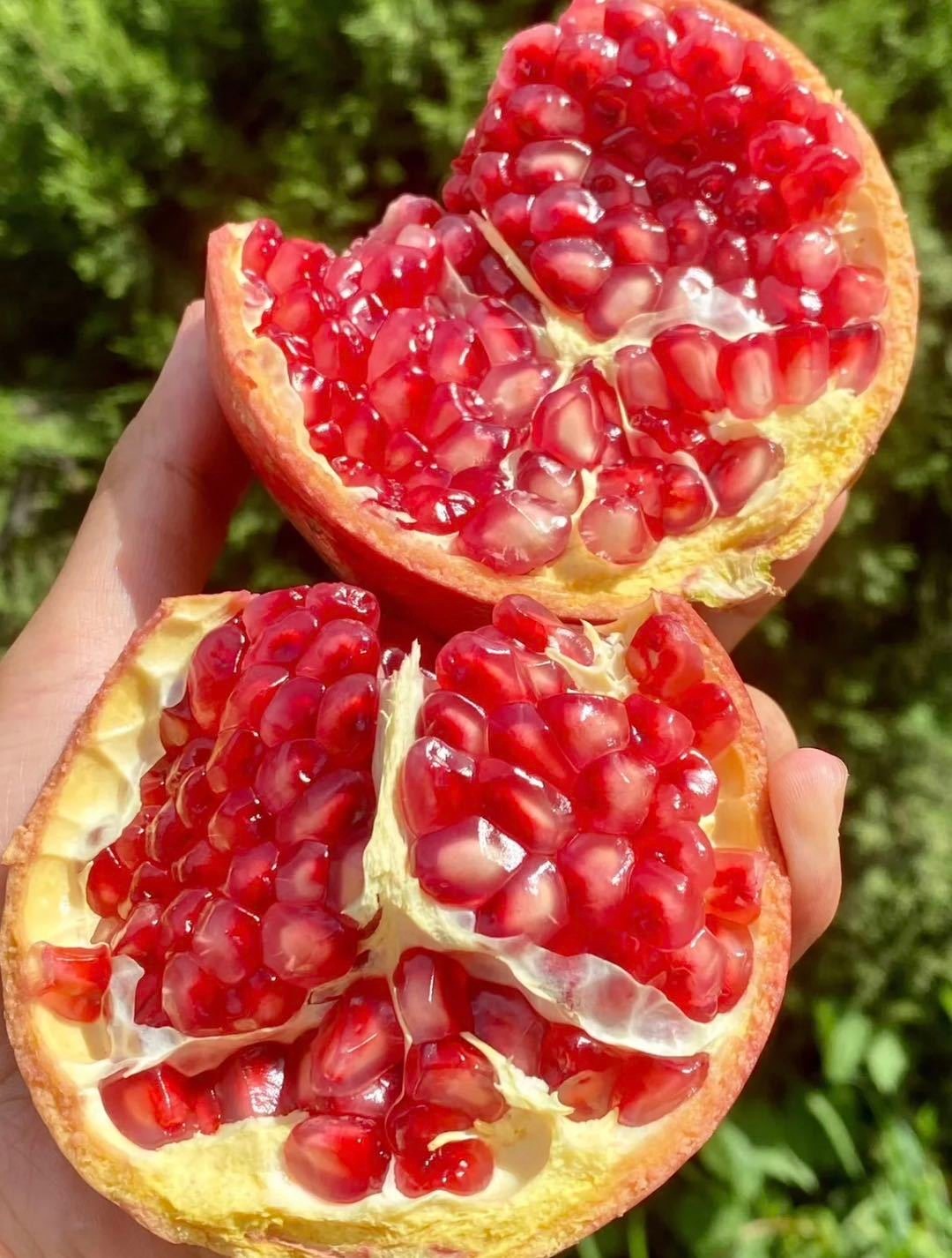 榴最新地址揭秘,爆款火热来袭,不容错过!