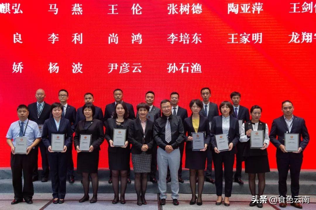 云南旅游最新报价揭秘,科技与生活的完美融合之旅