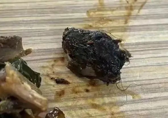 鸭脖事件最新进展揭秘,探寻真相,食品安全不容小觑!