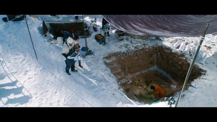 最新电影档期揭秘,不容错过的大片盛宴!