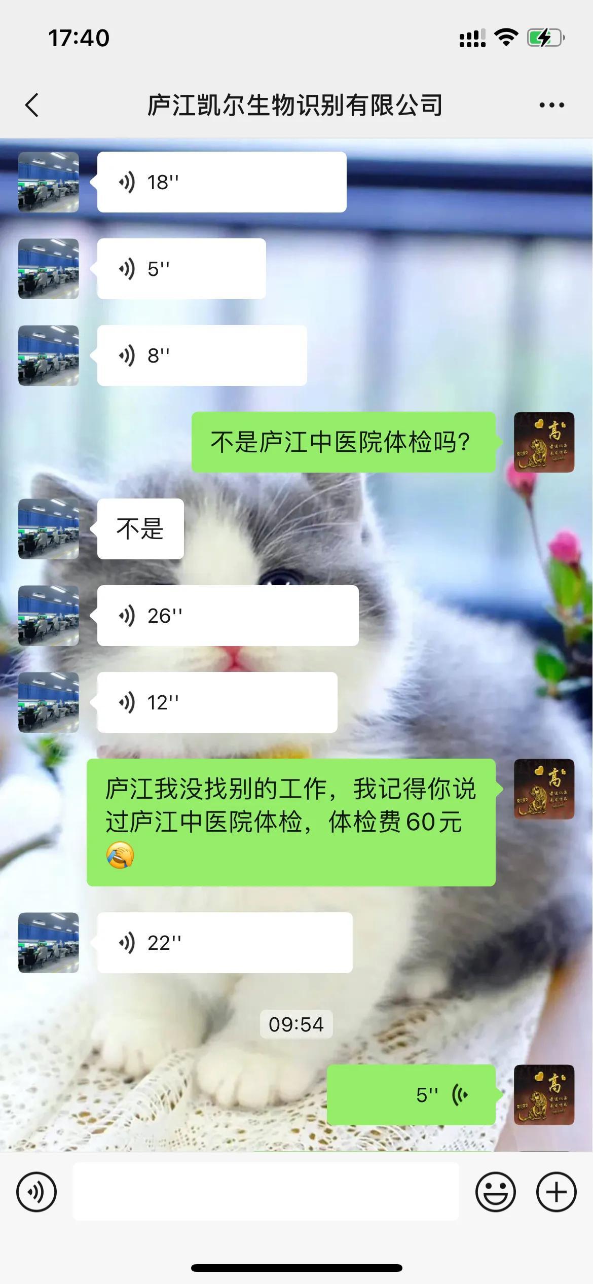 庐江最新招聘信息全解析,获取指南与资源汇总