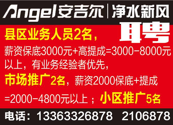 阳江招聘网最新招聘,职场黄金机会来袭