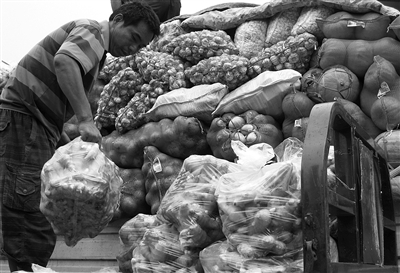 山东生姜最新价格揭秘,自然美景下的旅行探索之旅