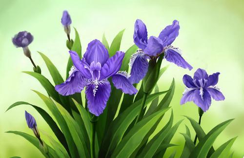 塑料原料最新价格,与自然美景对话,探寻内心宁静之旅