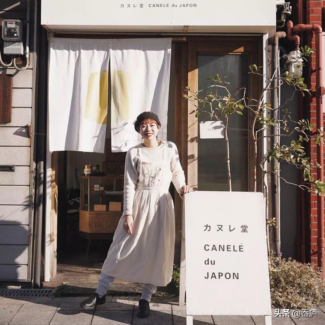 最新动物世界探索,巷弄深处的奇特小店