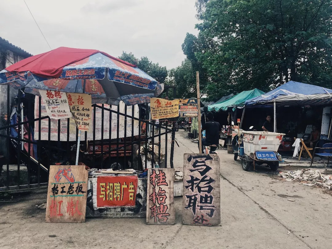 滦南最新招聘,探寻自然美景,寻觅内心宁静之旅