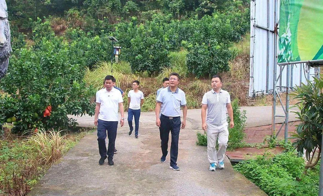 时代变迁中的美丽产业革命,最新化妆品趋势解析