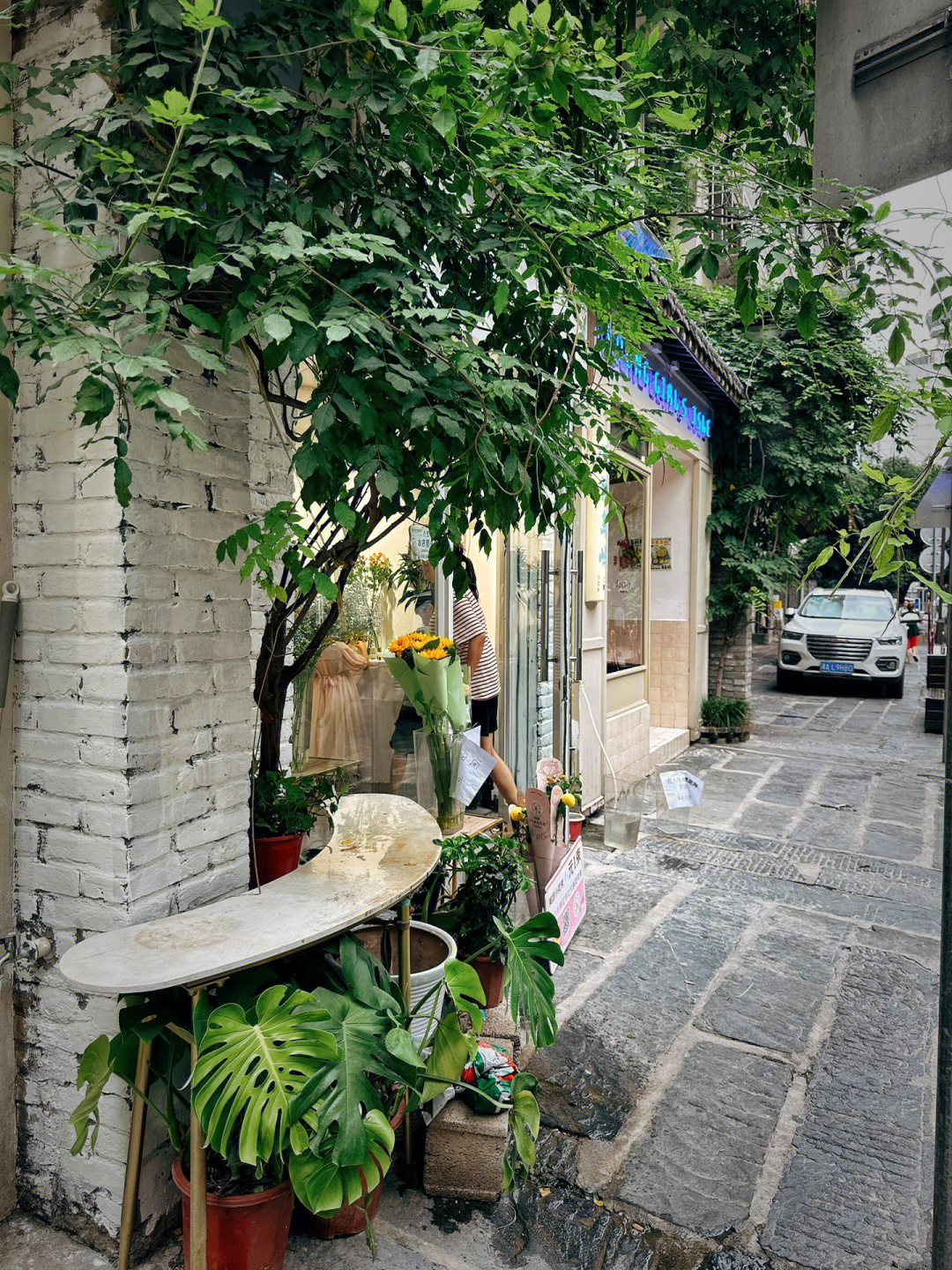 探索小巷中的隐藏宝藏,最新手机管家独特小店