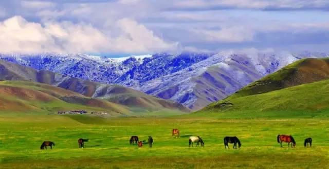 最新文学作品,自然美景之旅,探寻内心的平和与喜悦