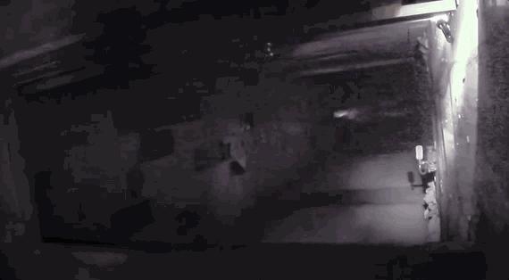 国内最新恐怖电影,小巷深处的惊悚秘境