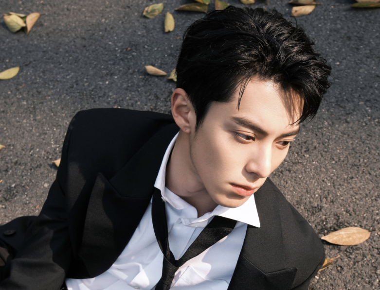 王鹤棣最新行程揭秘，揭开明星背后的故事之旅