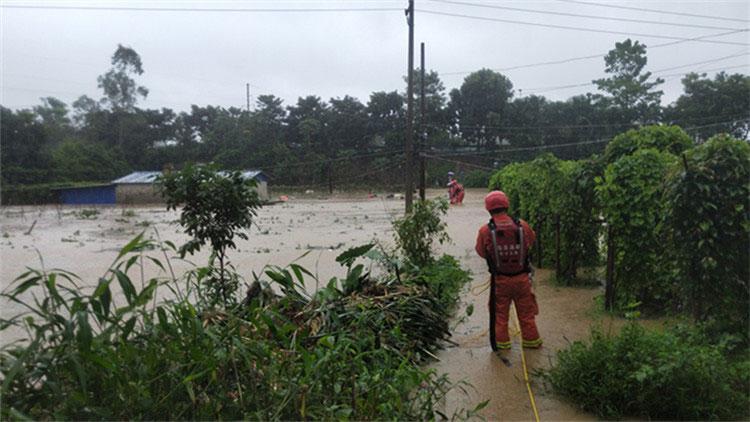 最新热带低压动态更新,最新热带低压情况简报
