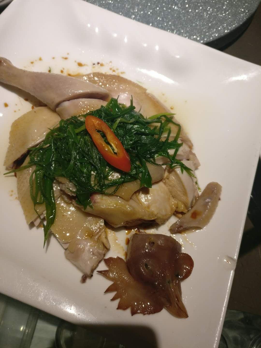 最新车图片,自然之旅的亲密接触