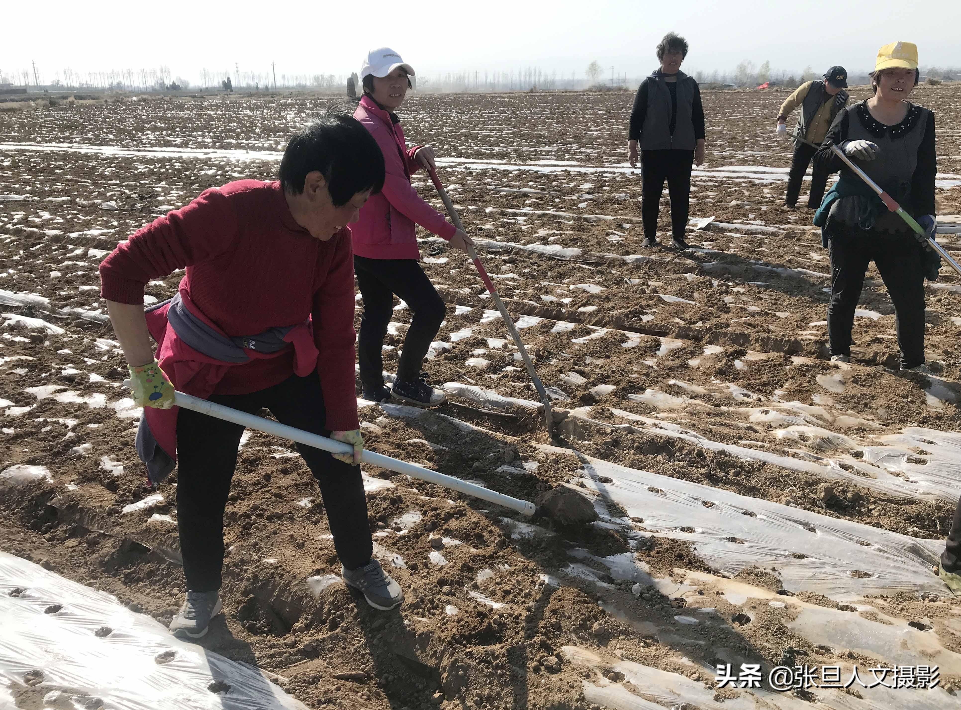 生地最新价格动态,市场走势、影响因素与未来展望