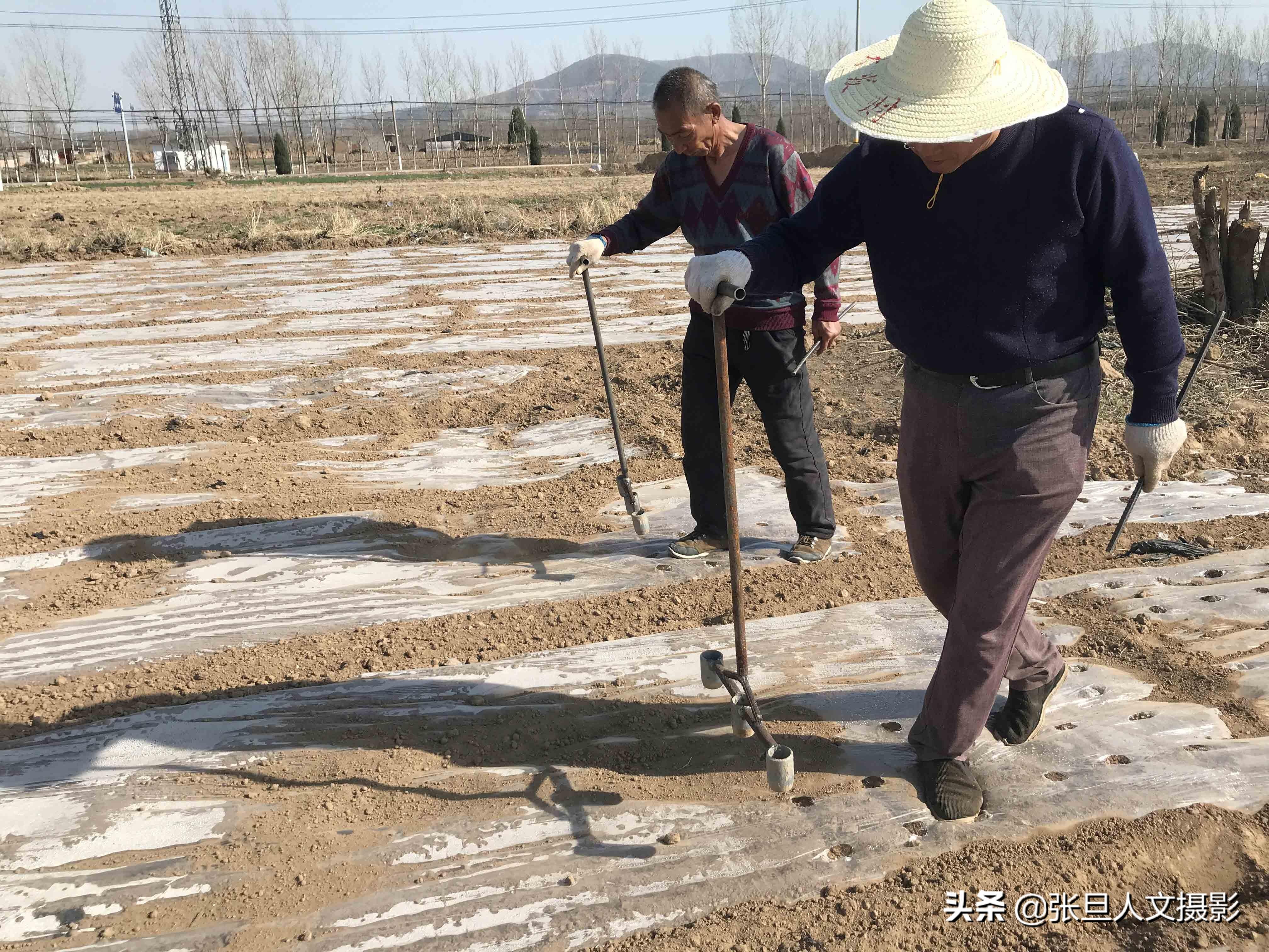 生地最新价格动态,市场走势、影响因素与未来展望