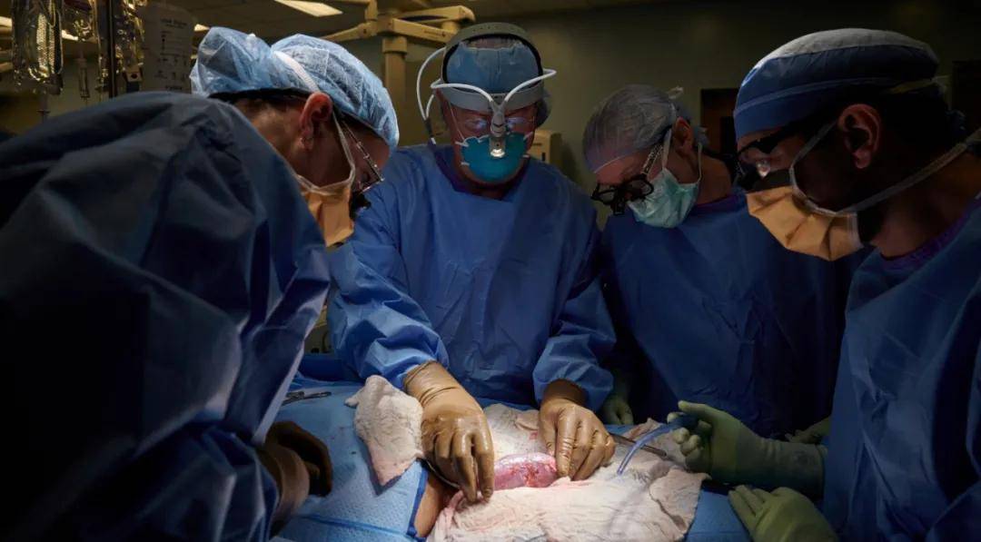 肾移植最新动态,旅行路上探寻生命之光希望对您有帮助。