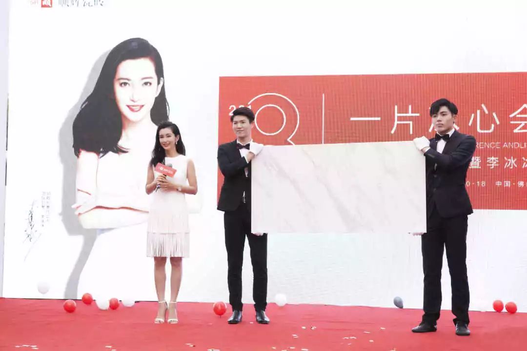 李冰冰与科技新品,前沿科技的魅力与未来生活的风采