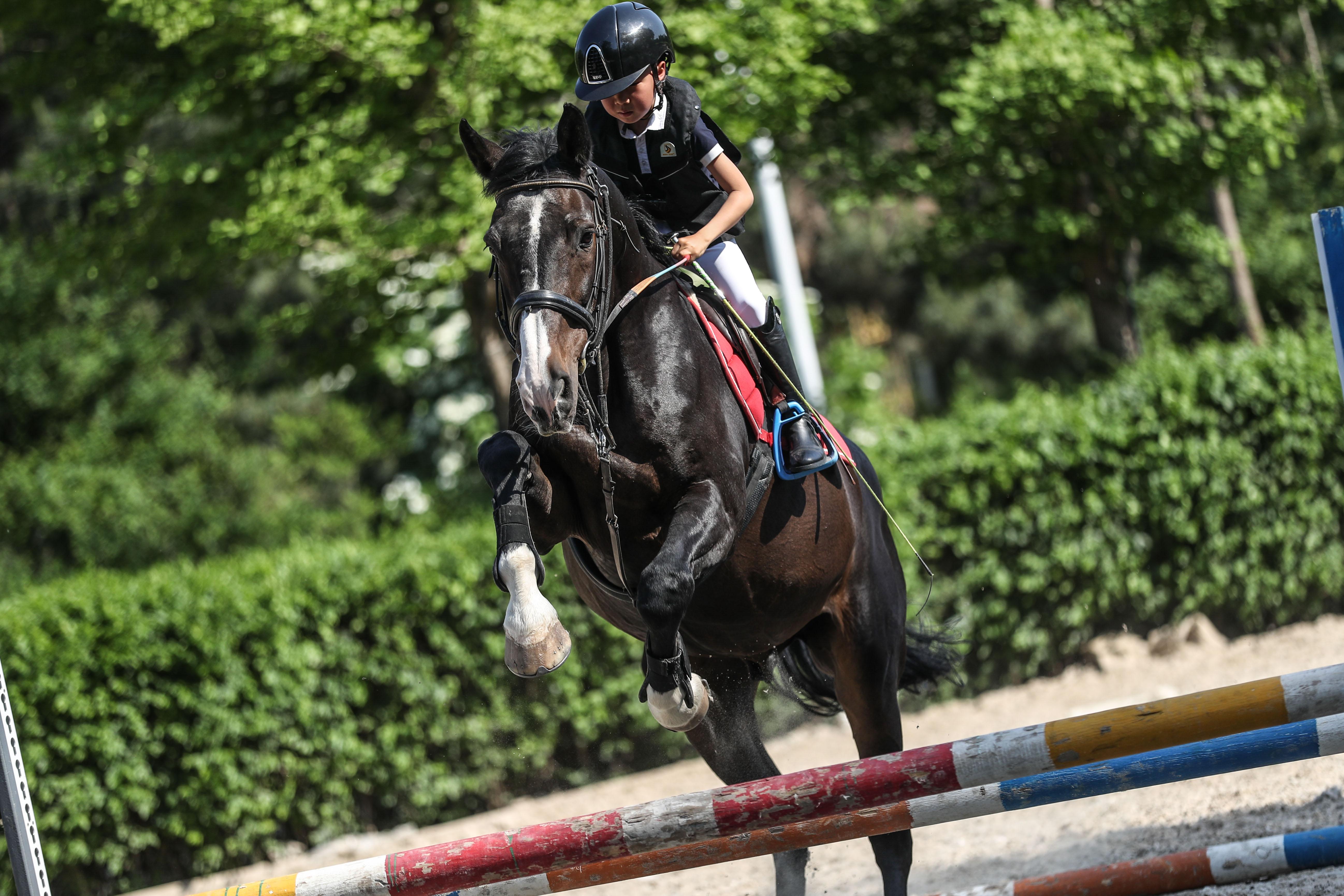 沈阳市疫情最新动态及应对指南,初学者与进阶用户必备资讯
