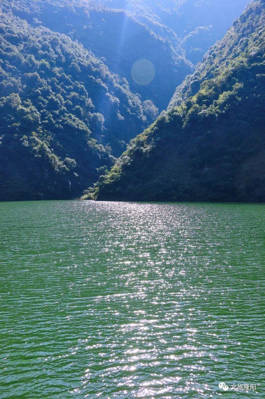 最新捕鱼游戏,探索自然美景的治愈深海冒险之旅