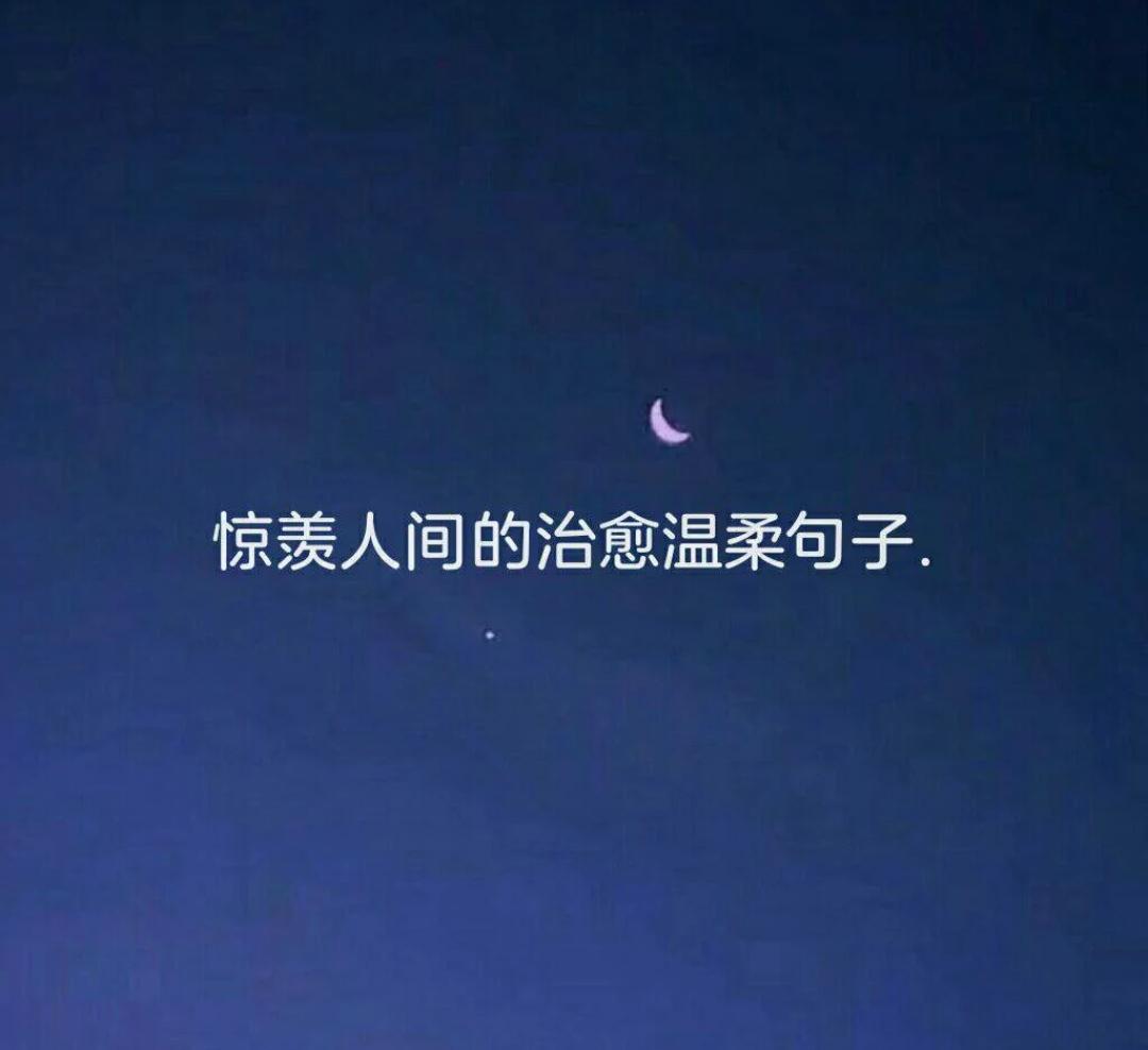 最新海棠科技产品介绍，探索海棠的科技创新之路