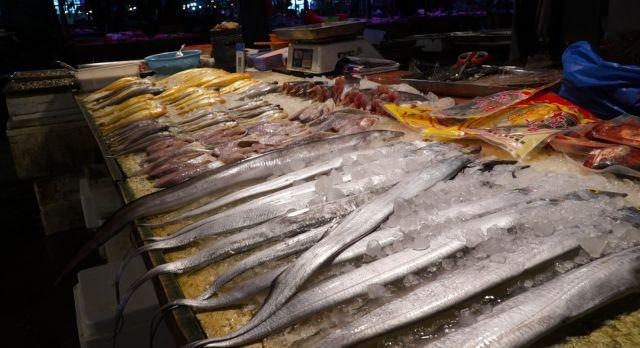 梭子蟹最新价格行情,科技与生活的紧密连结