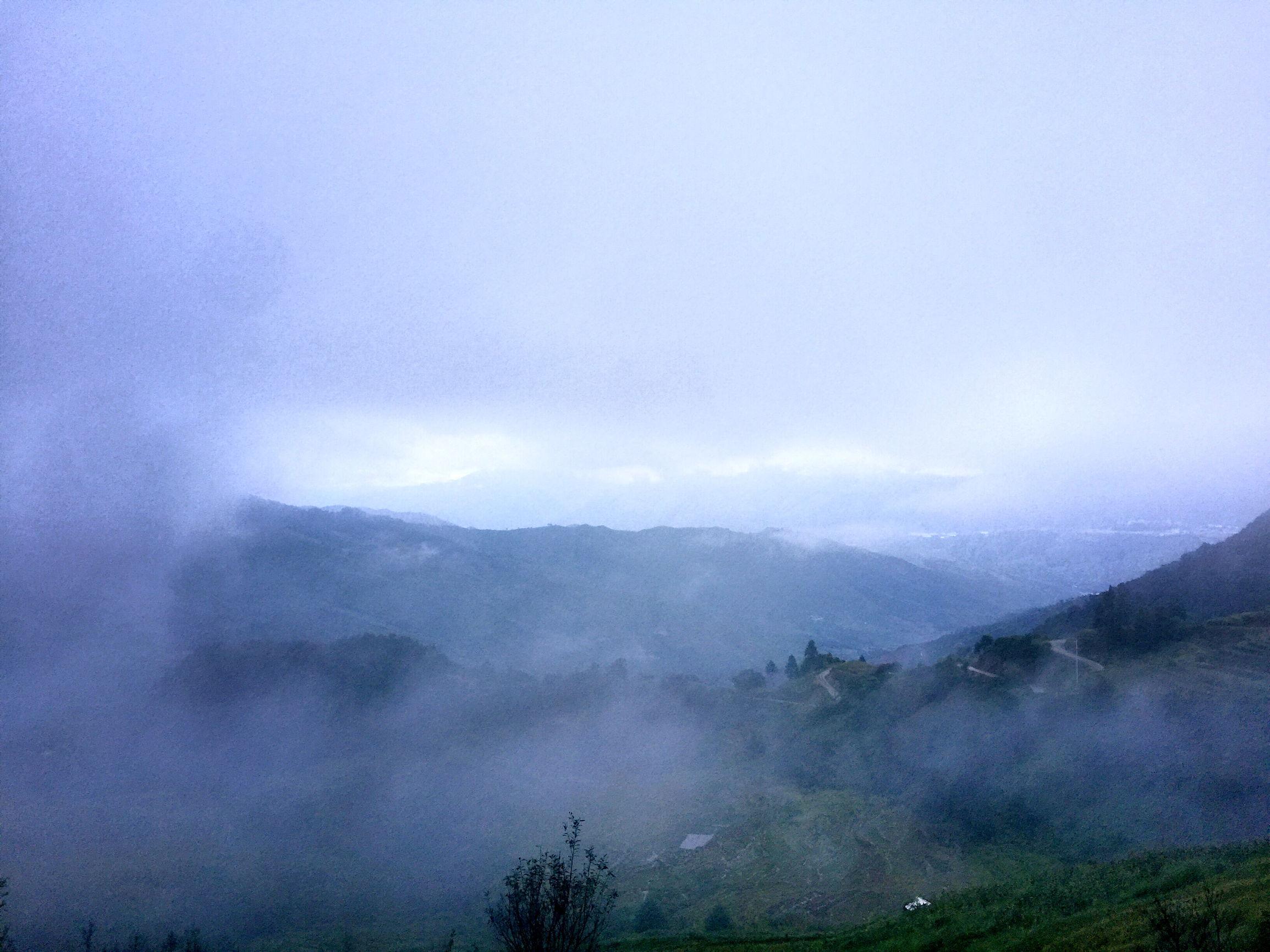 台风天鸽最新动态，温馨日常故事在天鸽的羽翼之下