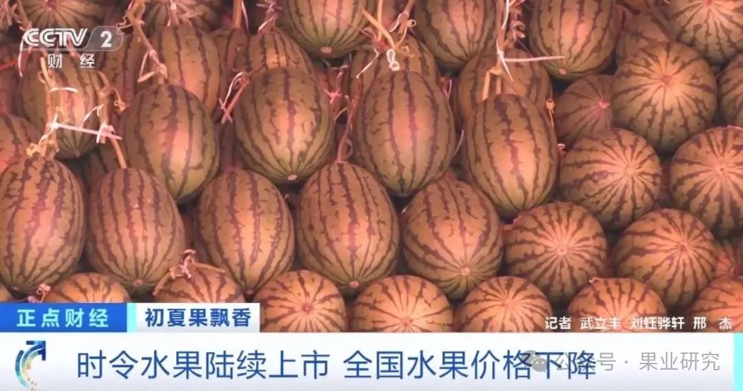 香瓜价格最新行情及分析概述